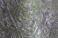 Stainland fibreglass roof work